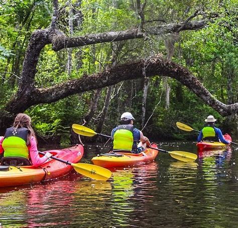 fernandina beach tripadvisor|THE 15 BEST Things to Do in Fernandina Beach (2024).